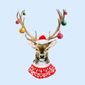 Watercolor christmas deer Royalty Free Stock Photo