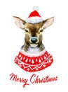 Watercolor christmas deer Royalty Free Stock Photo