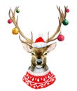 Watercolor christmas deer Royalty Free Stock Photo