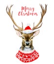 Watercolor christmas deer Royalty Free Stock Photo