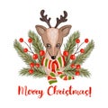 Watercolor Christmas deer with tree fir branch and red berries. Vector holiday print Merry Christmas Royalty Free Stock Photo