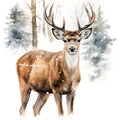 Watercolor Christmas deer. Winter card design with deer. Generative AI