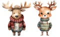 Watercolor Christmas deer in winter sweater animals cartoon illustrations Royalty Free Stock Photo