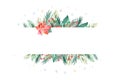 Watercolor christmas design composition of poinsettia, fir branches, cones, holly and other plants poster. Winter cover