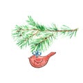 Christmas felted bird red ornament and tree pine branch on white background, isolated. Royalty Free Stock Photo