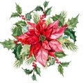 Watercolor christmas flowers Royalty Free Stock Photo