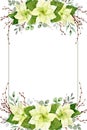 Watercolor christmas flowers frame template. White poinsettia, branches of spruce and winter greenery for greeting cards and Royalty Free Stock Photo