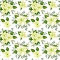 Watercolor christmas flowers pattern. White poinsettia, branches of spruce and winter greenery for wrap paper or winter textile. Royalty Free Stock Photo