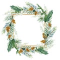 Watercolor Christmas frame with fir branches, leaves, pine, cone. Winter greenery banner for christmas card