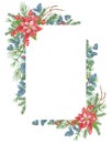 Watercolor Christmas frame with poinsettia, greenery, spruce, pine tree twig and holly berries. New Year garland. Isolate on white Royalty Free Stock Photo