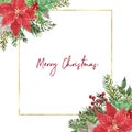 Watercolor Christmas gold border with red and white poinsettia flowers, pine tree branches, winter plants and berries. Royalty Free Stock Photo