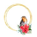 Watercolor Christmas golden wreath with robin and winter design. Hand painted bird with poinsettia, mistletoe, fir Royalty Free Stock Photo