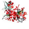 Watercolor Christmas hand-drawn illustration of bunch of red berries.