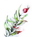 Watercolor Christmas hand-drawn illustration of red berries branch.Watercolor Christmas hand-drawn illustration. Mistletoe branch
