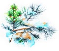 Watercolor Christmas hand-drawn illustration. Spruce branch covered with snow. Pine.