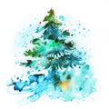 Watercolor Christmas hand-drawn illustration. Spruce winter trees.