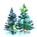 Watercolor Christmas hand-drawn illustration. Spruce winter trees with snow. Pine.
