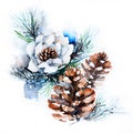 Watercolor Christmas hand-drawn illustration. Winter pine branch with pine cones.