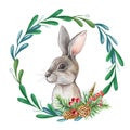 Watercolor Christmas hare. New year illustration for winter card with bunny ad leaves of mistletoe Royalty Free Stock Photo