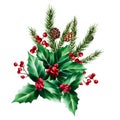 Watercolor christmas holly berry, spruce and pine branch, cedar, fir and larch cone. New year botanical illustration of