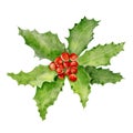 Watercolor Christmas holly with red berries isolated on white background Royalty Free Stock Photo