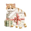 Watercolor Christmas little exotic cat kitten character lies in gift boxes