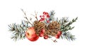 Watercolor Christmas natural greeting card of fir branches, red apple, berries, pine cones, vintage botanical illustration Royalty Free Stock Photo