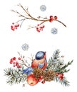 Watercolor Christmas Natural Greeting Card Of Fir Branches, Red Apple, Berries, Pine Cones, Winter Bird. Vintage Illustration