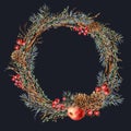 Watercolor Christmas natural wreath of fir branches, red apple, berries, pine cones, vintage botanical round frame for greeting Royalty Free Stock Photo