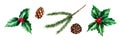 Watercolor christmas pine cones, branch, holly berries. New year botanical illustration of realistic lush evergreen Royalty Free Stock Photo