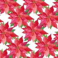 Watercolor Christmas poinsettia seamless pattern. Red big winter flowers. Repeating background. For design cards Royalty Free Stock Photo