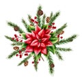 Watercolor christmas poinsettia, spruce and pine branch, cedar, fir and larch cone. New year botanical illustration of