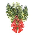 Watercolor Christmas red and green bouquet of Christmas fir branches, bow, holly for invitations, cards, stickers