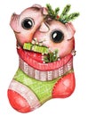 Watercolor Christmas red sock with piglets, gift and branches