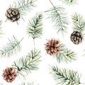 Watercolor Christmas seamless pattern with fir branches and cones. Hand painted winter holiday plants isolated on white Royalty Free Stock Photo