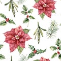 Watercolor Christmas seamless pattern with holiday plant. Hand painted poinsettia, holly, mistletoe, berries isolated on Royalty Free Stock Photo