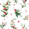 Watercolor Christmas seamless pattern of pine branch, holly, red berries and leaves. Hand painted holiday plants Royalty Free Stock Photo