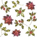 Watercolor Christmas seamless pattern with poinsettia, holly and mistletoe sprigs with berries. Hand painted holiday