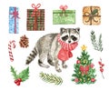 Watercolor Christmas set with cute raccoon in scarf, holiday fir tree, gifts, holly, pinecone, isolated. New Years hand drawn Royalty Free Stock Photo
