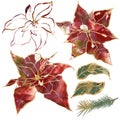 Watercolor Christmas set of gold contour poinsettia, leaves and branches. Hand painted holiday elements isolated on Royalty Free Stock Photo