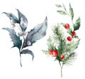 Watercolor Christmas set of pine branch, berries and leaves. Hand painted holiday composition of plants isolated on