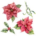 Watercolor Christmas set with poinsettia, holly and mistletoe. Hand painted holiday plant with berries isolated on white Royalty Free Stock Photo
