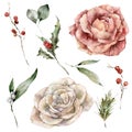 Watercolor Christmas set of roses, holly, berries, fir and pine branches. Hand painted holiday elements of flowers and Royalty Free Stock Photo