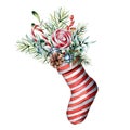Watercolor Christmas sock with winter floral decor and candies. Hand painted holiday symbol with fir branches, cone