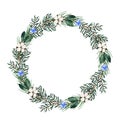 Watercolor christmas winter floral round wreath greenery frame with fir branches, cotton Royalty Free Stock Photo