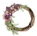 Watercolor christmas wreath with hellebore flower. New year tree and wood branch wreath with holly, mistletoe, hellebore isolated