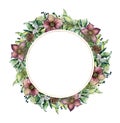 Watercolor Christmas wreath with hellebore flowers. Hand painted Christmas tree branches, cedars with leaves isolated on Royalty Free Stock Photo