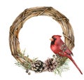 Watercolor Christmas wreath with red cardinal and pine cones. Hand painted fir branches, seeds and coniferous isolated Royalty Free Stock Photo