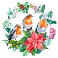 Watercolor Christmas wreath with robin birds, hand drawn on isolated white background Royalty Free Stock Photo