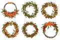Watercolor Christmas wreaths set. Winter round frames with wood, fir branches, red berries, dried orange slices, ribbon bows Royalty Free Stock Photo